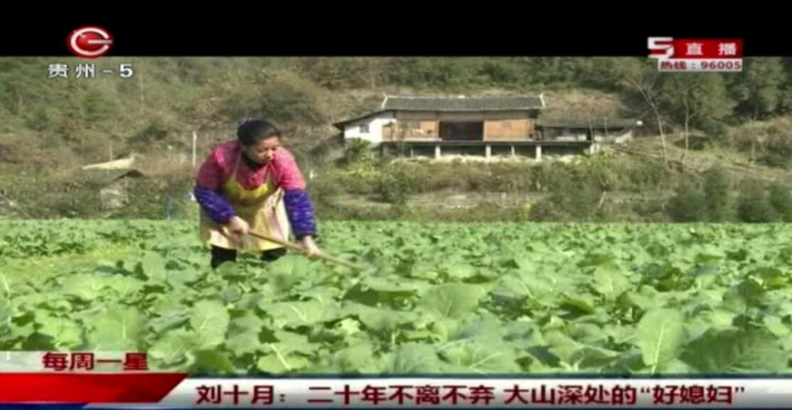 刘十月：二十年不离不弃 大山深处的“好媳妇”